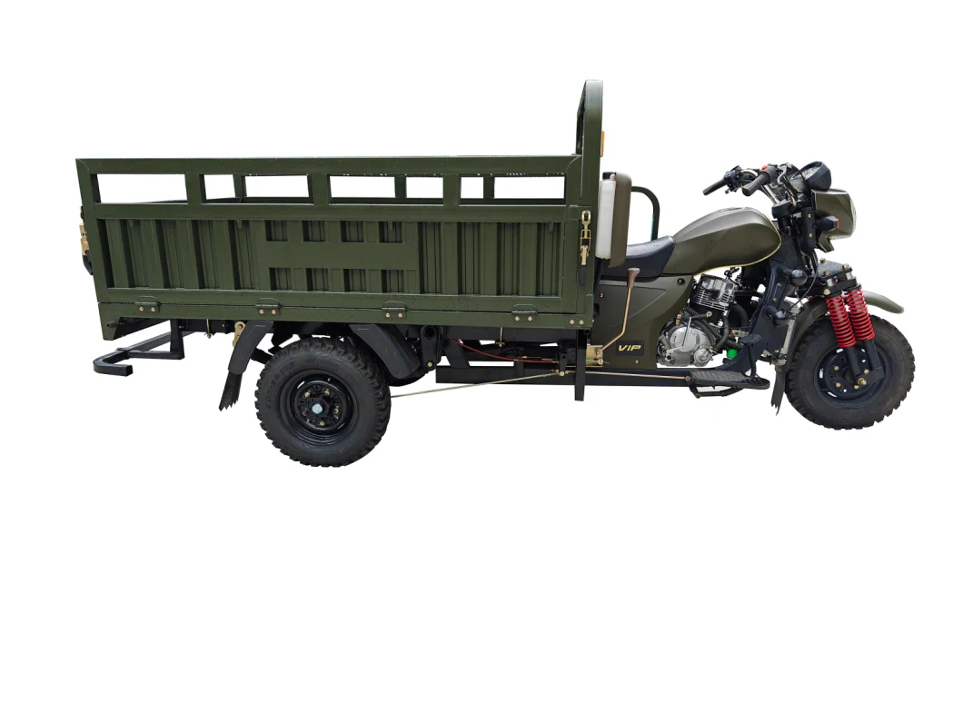 200cc /250ccsingle-Cylinder Water-Cooled Engine Cargo Tricycle/Three-Wheel Motorcycle