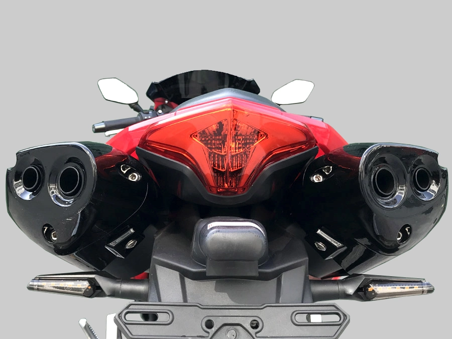 Tail Double-Muffler Sports Racing Motorbike with 150cc-400cc Engine